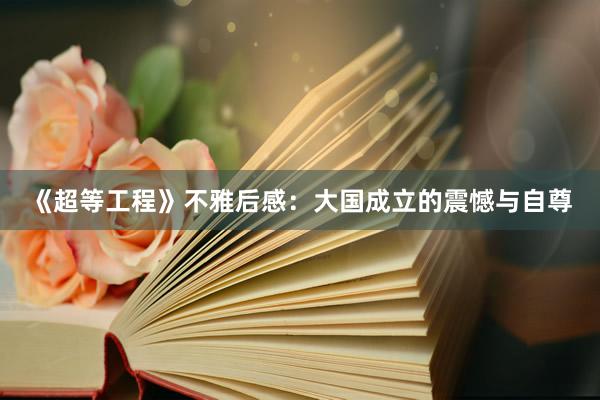 《超等工程》不雅后感：大国成立的震憾与自尊